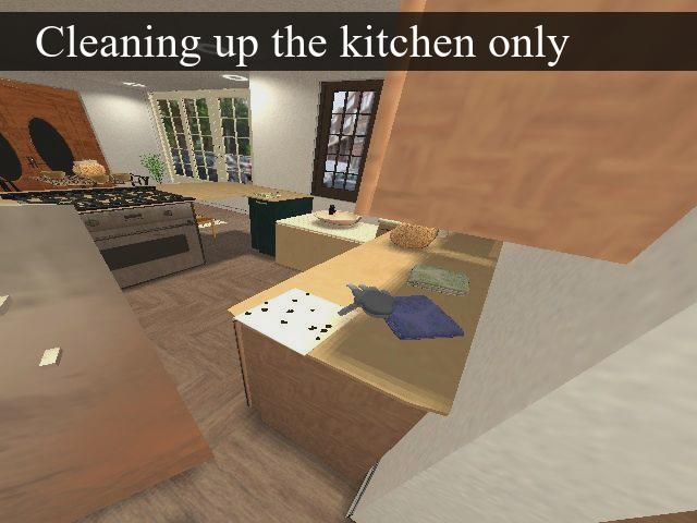 Cleaning Up the Kitchen Only