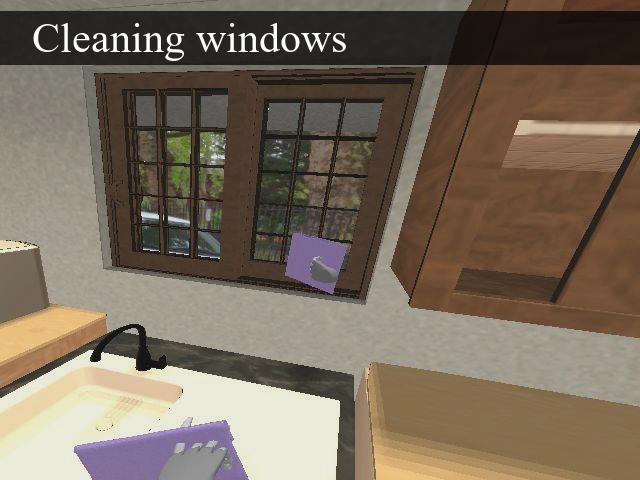 Cleaning Windows