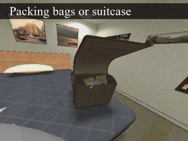 Packing Bags or Suitcase