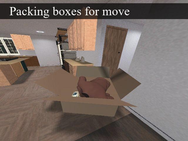 Packing Boxes for Household Move or Trip