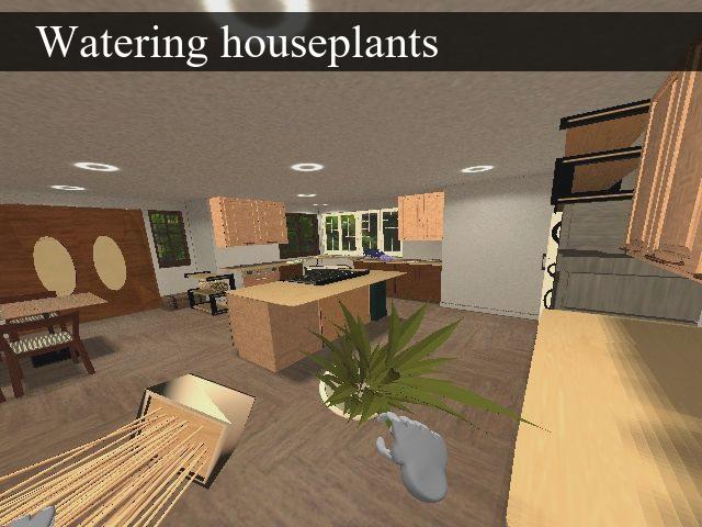 Watering Houseplants